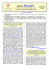 Neuropillole N° 140 - DIBINEM