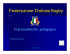 s.s. 2004-2005 - Federazione Italiana Rugby