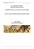 Linee guida per la progettazione 3