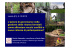L`azione di governance nella gestione delle risorse forestali: come