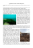 Articolo di approfondimento in pdf