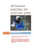 Leggi o scarica - Settimana Europea dei Giovani