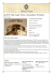 presentazione PDF - Palazzo Estate Srl