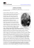 Biografia di Federico Halbherr - Fondazione Museo Civico di Rovereto