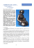 cordone di latte…