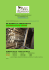BIG BAMBOO DA ARREDAMENTO LEGGERE TUTTO IL LISTINO