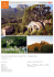 Immobiliare Brunati - Brochure Rif: CA