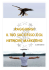 raggiungi il tuo successo col network marketing