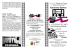 Programma - Comune di Vignola
