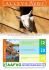Newsletter ALLEVA NEWS DI APRILE 2013