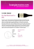 STEPHANE MAGNIEN Clos Saint Denis Grand Cru 2012