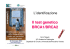 Il test genetico BRCA1/BRCA2