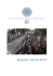 Rapporto attività 2015