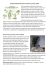 visualizza articolo completo in pdf
