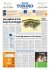[torino - 41] stampa/cronaca/01 04/05/04