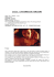 laila – unsterblich verliebt - Johannes Brandrup Official Fan Club