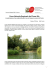 Parco Naturale Regionale del Fiume Sile