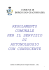 Regolamento autonoleggio con conducente