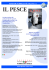 EDIZIONI PUBBLICITÀ ITALIA S.r.l.