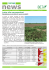 Bollettino 4 cercospora 2014