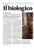 Scarica il pdf