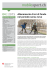 Allenamento di sci di fondonelperiodo senza neve