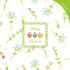 Scarica il pdf del catalogo Baby Flower Premium