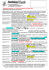 4 trimestre 2010 (documento pdf)