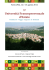 UFE 2011-pdf - Provincia Autonoma di Trento