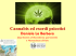 Cannabis e psicosi: studio di un campione al primo episodio psicotico