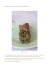 Cannoli vegetariani con tofu e pistacchi di Bronte