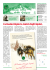 Visualizza PDF