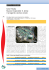 Case Study Nuovo Ospedale S. Anna: il progetto