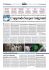 pdf Il servizio su «Il Sole 24 Ore Sanità» n. 43/2015