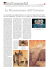 pdf - Fondazione Internazionale Menarini