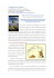 comunicato stampa - Pilgrim`s Tales Publishing