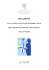 Annual Report 2008 IT