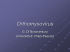 Orthomyxovirus - Università degli Studi "G. d`Annunzio"