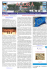 n. 67 - Associazione Juppa Vitale