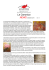 La Canonica News Gennaio 2016 N.13