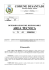 Determinazione del Responsabile dell`Area