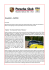 Newsletters 4 / 2016 di Marco Roversi