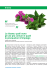 scarica l`articolo - Nutrition Foundation of Italy