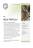 Aipe Notices - Associazione Italiana Pressure Equipment