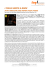 scarica pdf - Andrea Pozza