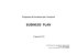 Business Plan