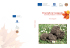 Il tartufo in Campania - regione campania