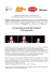 INVIDEO @ Festivall 2008 Program in pdf