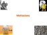 Maltazione - LABORATORIO DI CHIMICA