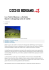 La «Notte Bianca» a Seriate_Ecoweb_22-05-13